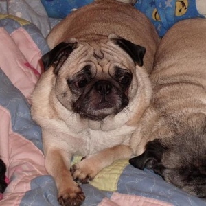 Profile Picture of April Gaddy (@april_g2009) on Myspace