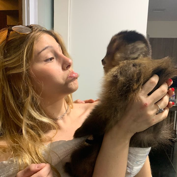 Profile Picture of @SophiaTarraf (@sophiiiiiiissss) on Tiktok