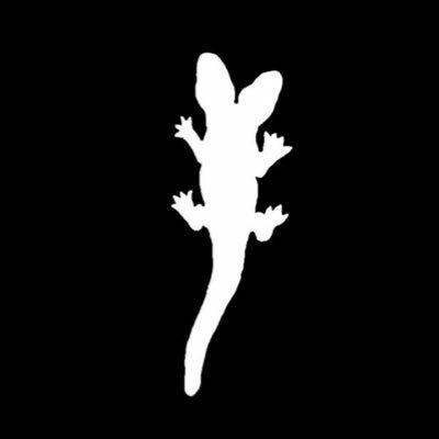 Profile Picture of David Josef Tamargo (@DavidTamargo) on Twitter