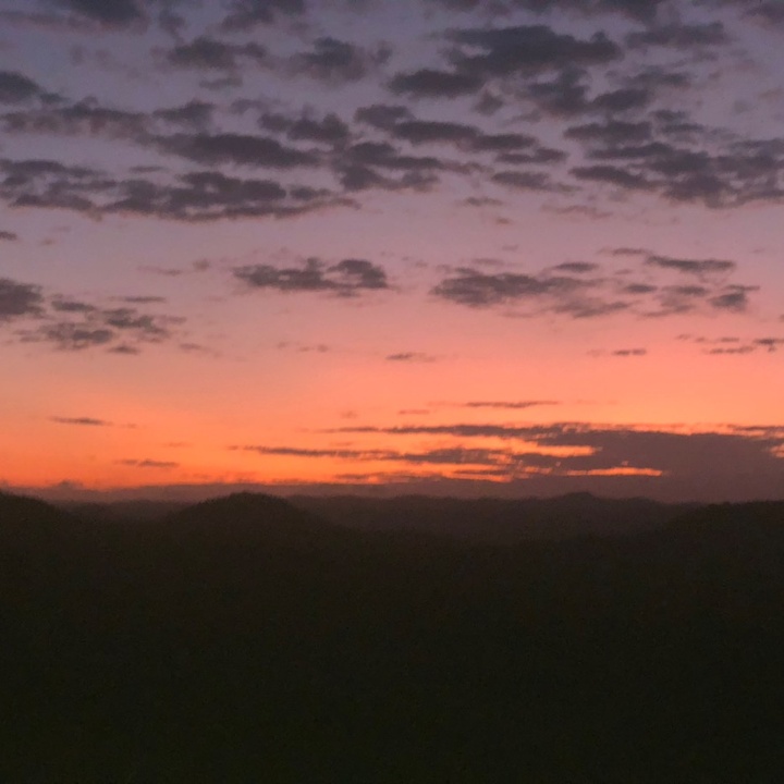 Profile Picture of Thomas hazell (@tommy_hazell0) on Tiktok