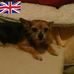Profile Picture of Kathy Read (@kathy.read.37) on Facebook