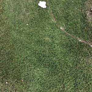 Profile Picture of Michael Smith (@mazola.smith) on Myspace