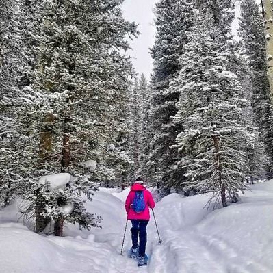 Profile Picture of Deborah Scanlon Walsh (@debscanwalsh) on Twitter