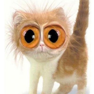 Profile Picture of Mike Moch (@Feierpirat) on Twitter
