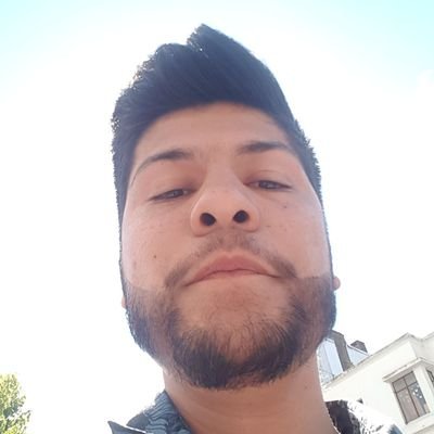 Profile Picture of Fabian Arredondo Henriquez (@Fabian0090) on Twitter