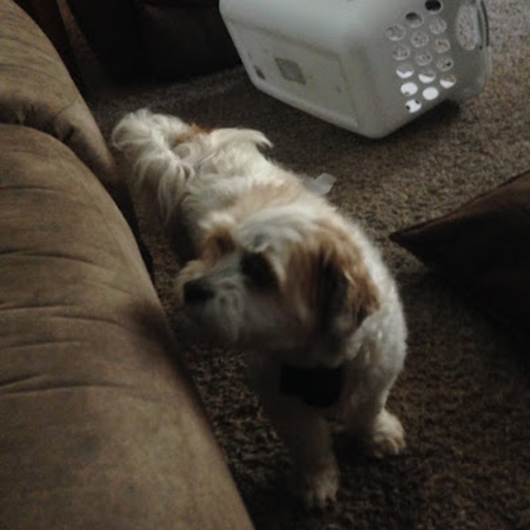 Profile Picture of Aidan Eggeling (@aidaneggeling) on Poshmark