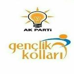 Profile Picture of AK Parti Tonya Gençlik Kolları (@akpartitonya) on Instagram