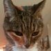 Profile Picture of John Witteman (@john.witteman.5) on Facebook
