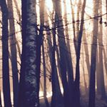 Profile Picture of Kelly Storrs (@lowlandstudio) on Instagram