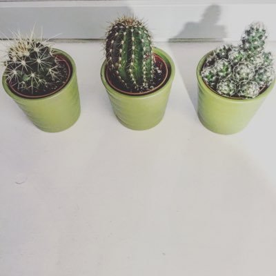 Profile Picture of YU ZHAO (@YUZHAO12) on Twitter