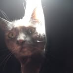 Profile Picture of Beverly Ezell (@beverly.ezell.155529) on Facebook