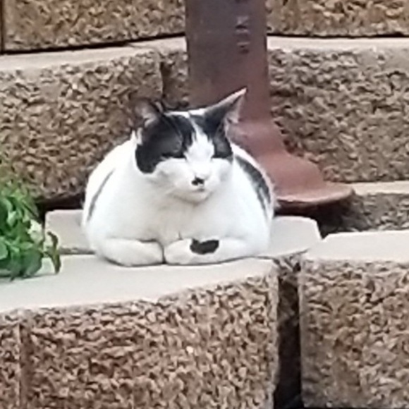 Profile Picture of Jordan Millam (@jordanmillam) on Poshmark