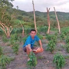 Profile Picture of Ronald Giler (@ronald.giler) on Tiktok