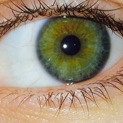 Joel McInnis - Twitter Profile Picture of Joel McInnis (@JoelmcInnis) on Twitter