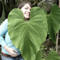 Profile Picture of Joy Greer (@joy-greer-5) on Quora