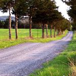 Profile Picture of Deborah Helmick (@deborah.helmick.9) on Instagram