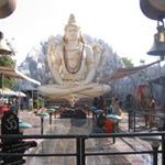 Profile Picture of Carl Beck (@carlbeck108) on Instagram