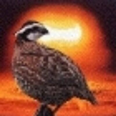 Profile Picture of Greg Hofer (@AtomicBobwhite) on Twitter