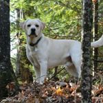 Profile Picture of Jacqueline Herbst (@herbstjacquelisd) on Instagram