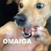 Profile Picture of Rayniel Guzman (@raynielguzman1395) on Youtube