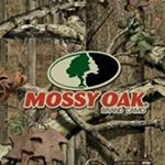 Profile Picture of Randy Spitler (@spitlerrandy) on Instagram