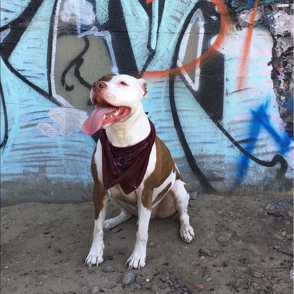 Profile Picture of Jacob Miranda (@jdm81190) on Poshmark