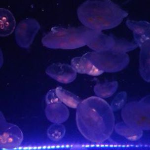 Profile Picture of Barry Baskerville (@Barry-Baskerville) on Facebook