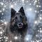 Profile Picture of Bianca Behets (@bianca.behets) on Facebook
