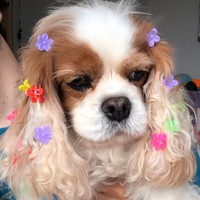 Profile Picture of Paola Ulloa (@paola-ulloa-10) on Quora