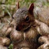 Profile Picture of Ian Kirkpatrick (@ian-kirkpatrick-5) on Quora