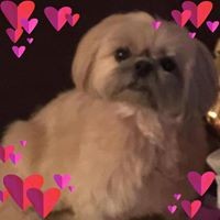 Profile Picture of Cynthia Hood (@cynthia-hood-10) on Quora