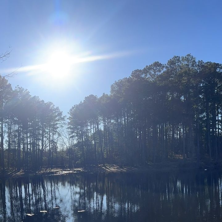 Profile Picture of Brandon Taylor (@brandon.taylor153) on Tiktok