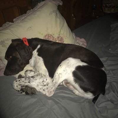 Profile Picture of Michele Henning (@MicheleHenning6) on Twitter