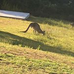 Profile Picture of Hugh Holmes (@holmes.hugh) on Instagram