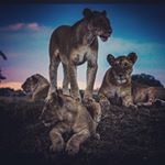 Profile Picture of Christopher Telles (@chris_telles_99) on Instagram