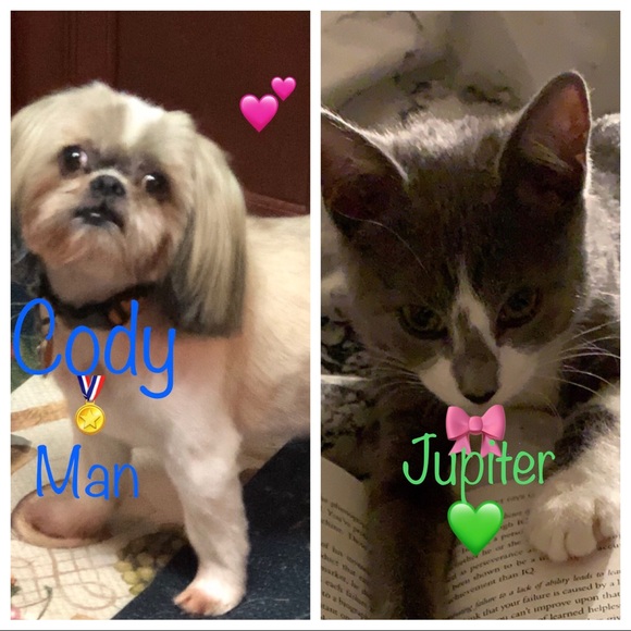 Profile Picture of Kim Lamothe (@cojupy1) on Poshmark