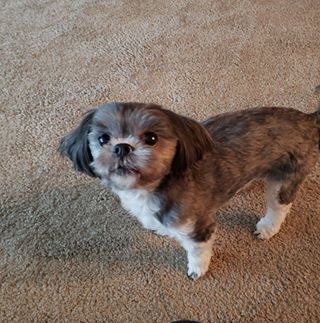 Profile Picture of Erica Kirkman (@Erica-Kirkman) on Facebook