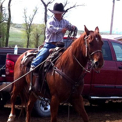 Profile Picture of Alex Whisler (@alexwhisler) on Twitter