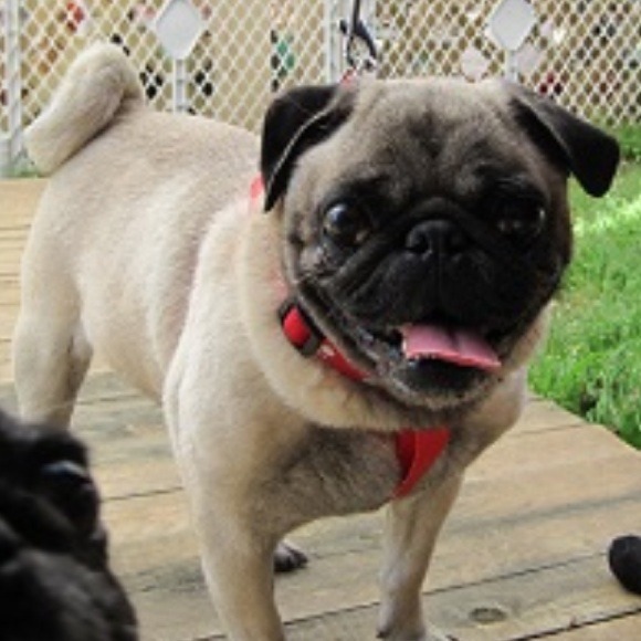 Profile Picture of Alisa Ishikawa (@alisaishikawa) on Poshmark