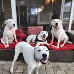 Profile Picture of Pamela Fay (@pamshazaam) on Instagram