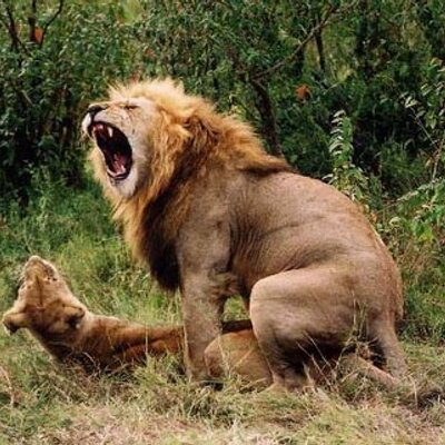 Profile Picture of Jesse Nagy (@MrBubbles69) on Twitter