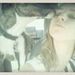 Profile Picture of Jillian O'Connell (@jilli0connell) on Pinterest