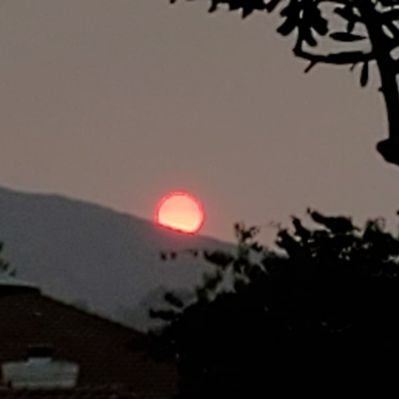 Profile Picture of Sam Petros (@sampetros) on Twitter