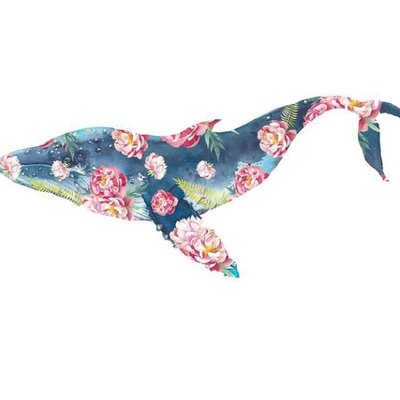 Profile Picture of Erin Cahill (@Erincahill0131) on Twitter