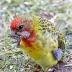 Profile Picture of Steven Gibbs (@sjg_photos) on Instagram