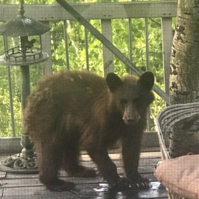 Profile Picture of Gary Erickson (@garyeri26625366) on Twitter