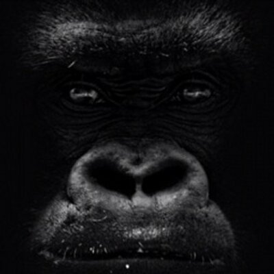 Profile Picture of Okada (@Michael_Okada) on Twitter