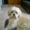 Profile Picture of alex postlewait (@@alexpostlewait0) on Tiktok