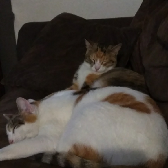 Profile Picture of Nicole Dietzmann (@ndietzmanm) on Poshmark