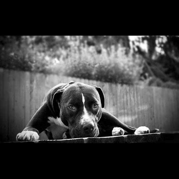 Profile Picture of Amanda Obrien (@amandao87) on Poshmark